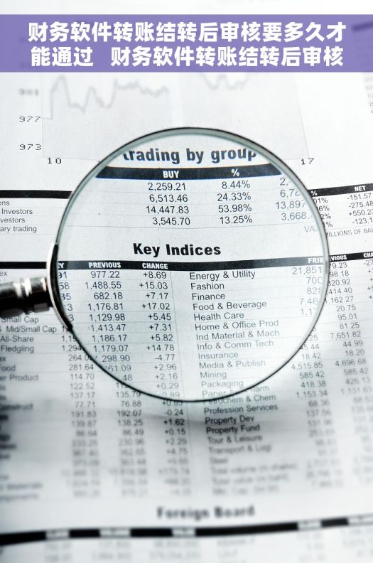 财务软件转账结转后审核要多久才能通过 财务软件转账结转后审核详细时间解析 财务软件转账结转后审核要多久才能通过 财务软件转账结转后审核详细时间解析