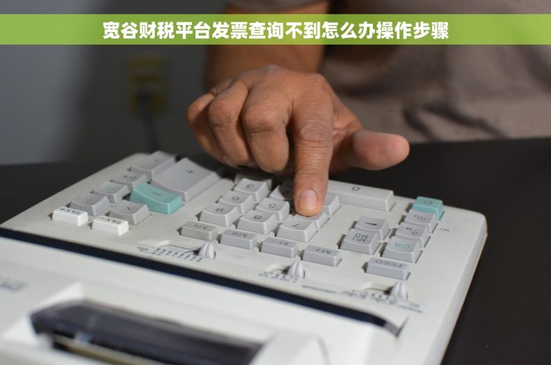 宽谷财税平台发票查询不到怎么办操作步骤