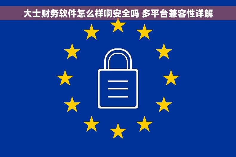 大士财务软件怎么样啊安全吗 多平台兼容性详解