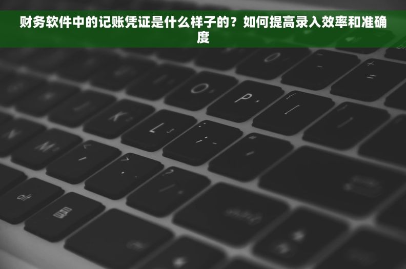 财务软件中的记账凭证是什么样子的？如何提高录入效率和准确度