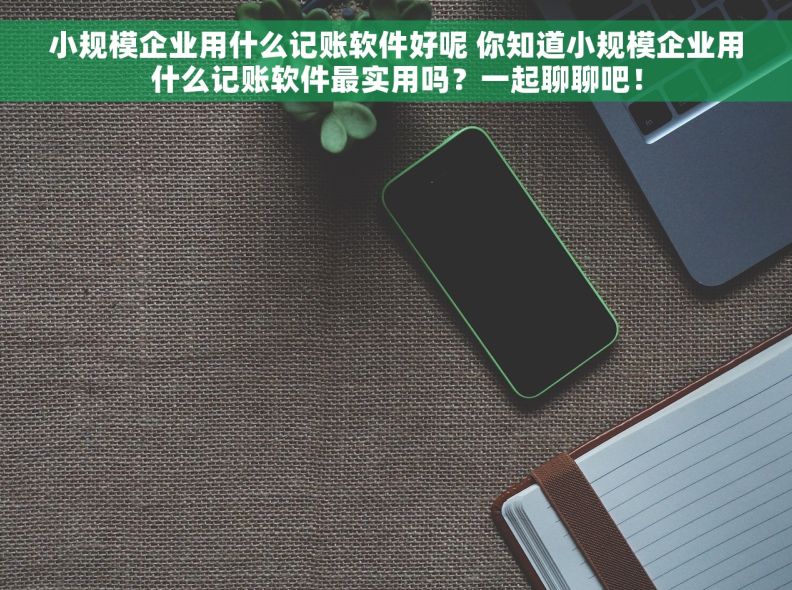 小规模企业用什么记账软件好呢 你知道小规模企业用什么记账软件最实用吗？一起聊聊吧！