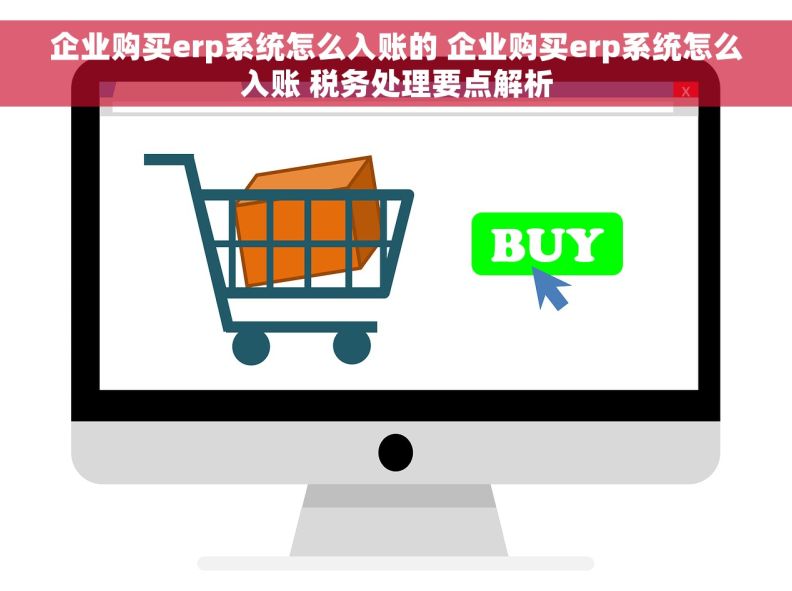 企业购买erp系统怎么入账的 企业购买erp系统怎么入账 税务处理要点解析