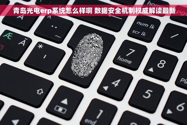  青岛光电erp系统怎么样啊 数据安全机制权威解读最新