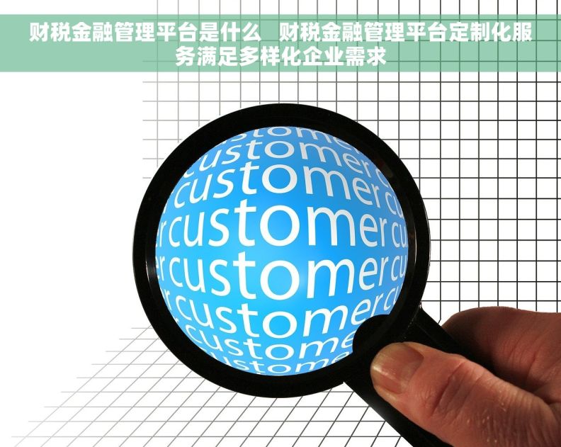 财税金融管理平台是什么   财税金融管理平台定制化服务满足多样化企业需求