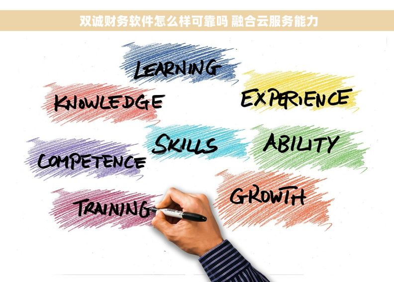  双诚财务软件怎么样可靠吗 融合云服务能力