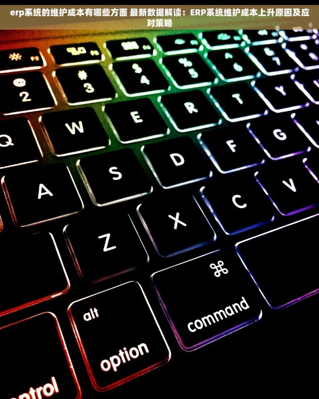 erp系统的维护成本有哪些方面 最新数据解读：ERP系统维护成本上升原因及应对策略