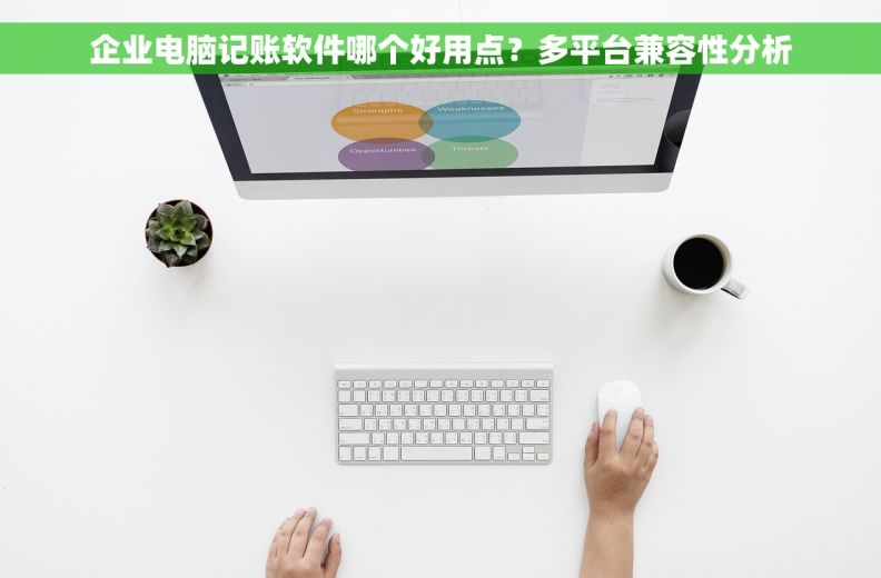 企业电脑记账软件哪个好用点？多平台兼容性分析