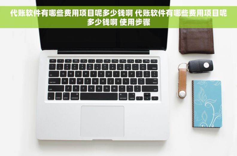 代账软件有哪些费用项目呢多少钱啊 代账软件有哪些费用项目呢多少钱啊 使用步骤