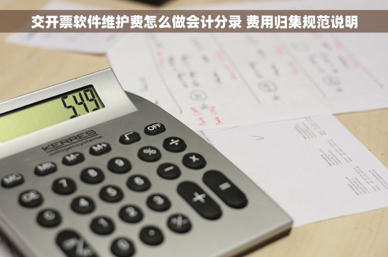交开票软件维护费怎么做会计分录 费用归集规范说明