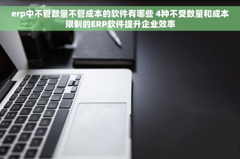 erp中不管数量不管成本的软件有哪些 4种不受数量和成本限制的ERP软件提升企业效率