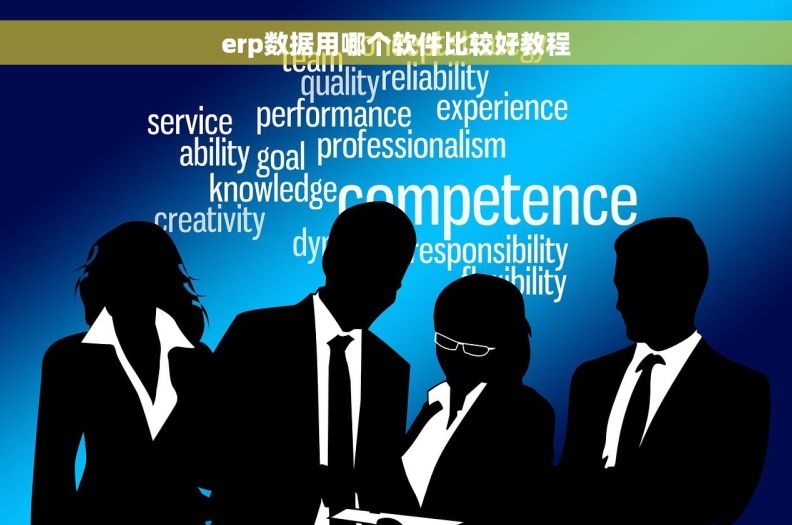 erp数据用哪个软件比较好教程