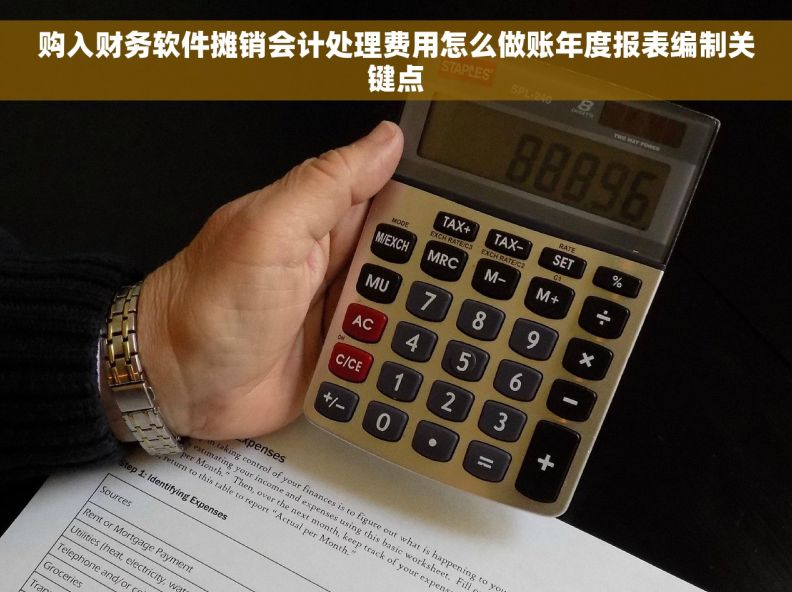 购入财务软件摊销会计处理费用怎么做账年度报表编制关键点