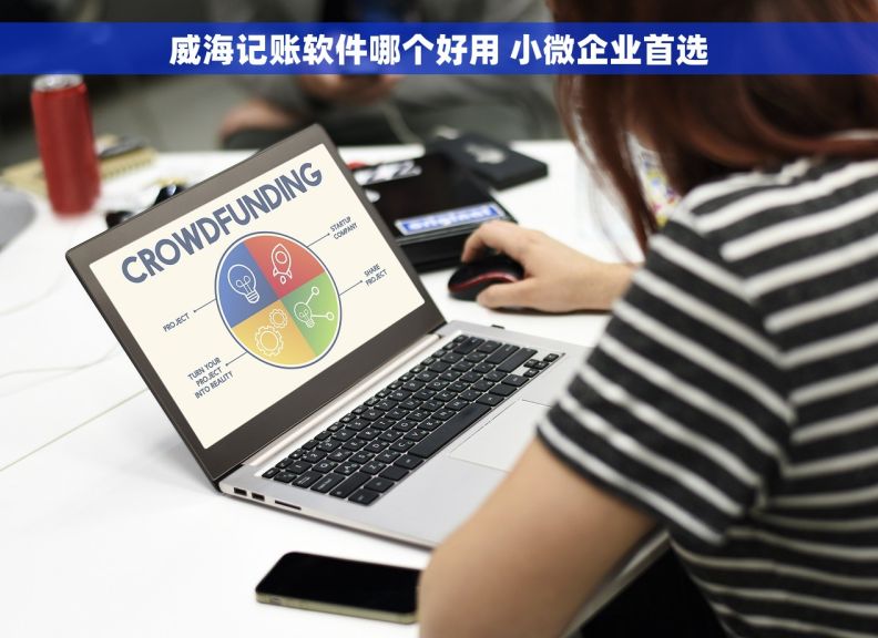 威海记账软件哪个好用 小微企业首选