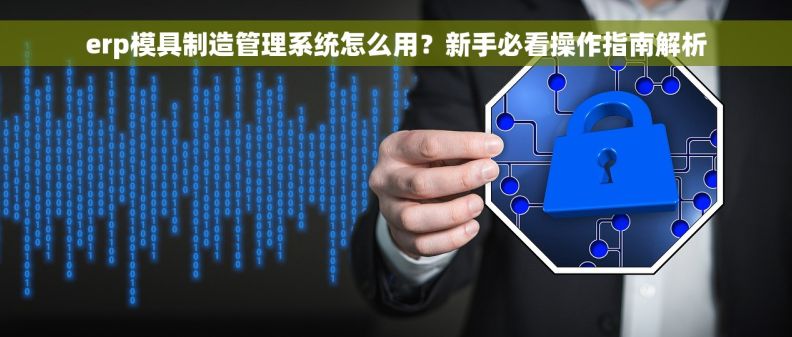 erp模具制造管理系统怎么用？新手必看操作指南解析