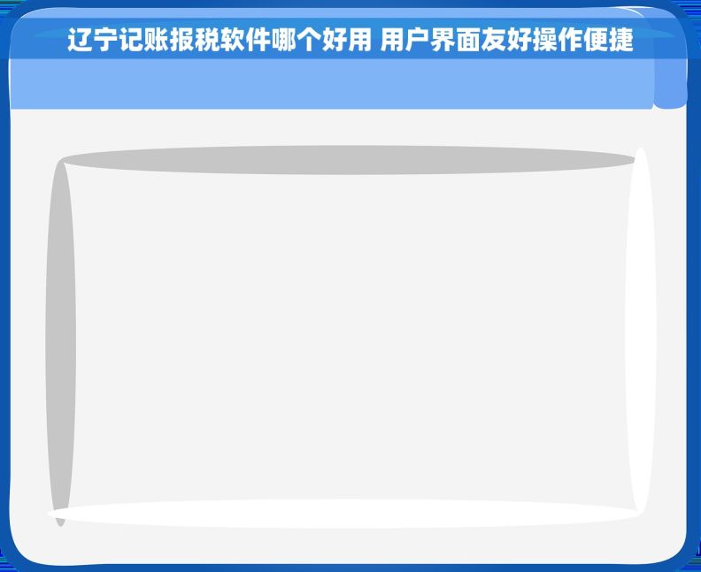 辽宁记账报税软件哪个好用 用户界面友好操作便捷