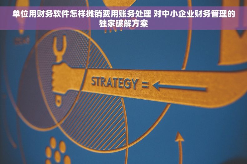 单位用财务软件怎样摊销费用账务处理 对中小企业财务管理的独家破解方案