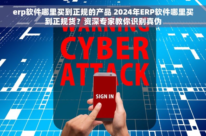 erp软件哪里买到正规的产品 2024年ERP软件哪里买到正规货？资深专家教你识别真伪