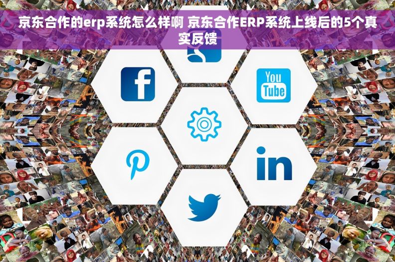 京东合作的erp系统怎么样啊 京东合作ERP系统上线后的5个真实反馈