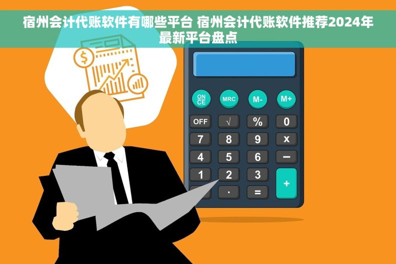 宿州会计代账软件有哪些平台 宿州会计代账软件推荐2024年最新平台盘点