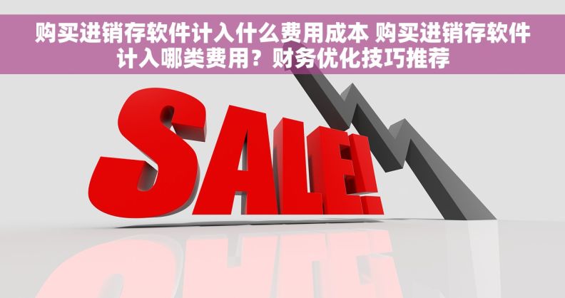 购买进销存软件计入什么费用成本 购买进销存软件计入哪类费用？财务优化技巧推荐