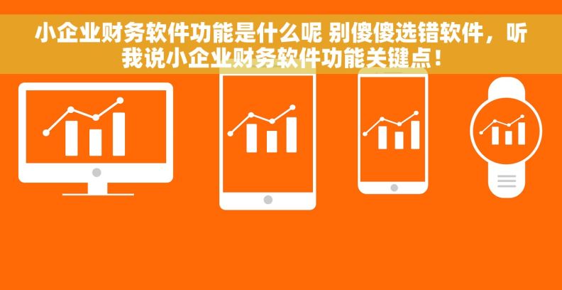 小企业财务软件功能是什么呢 别傻傻选错软件，听我说小企业财务软件功能关键点！