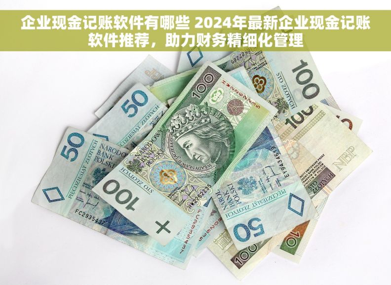 企业现金记账软件有哪些 2024年最新企业现金记账软件推荐，助力财务精细化管理