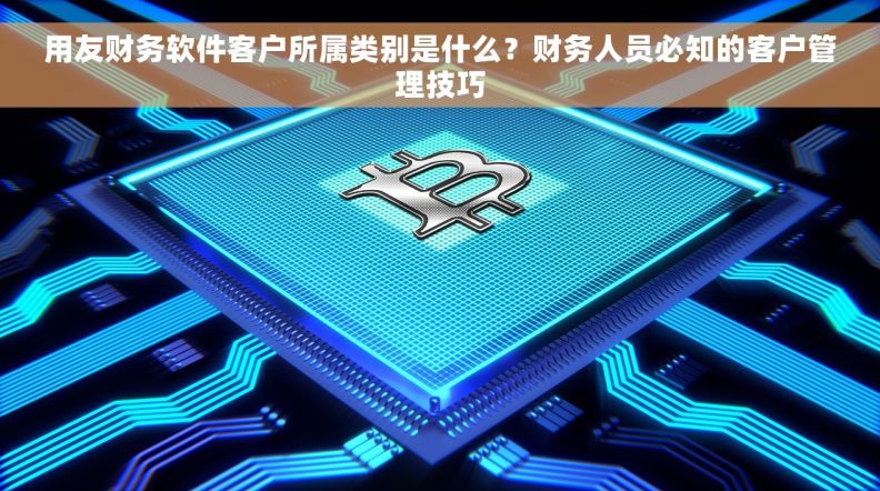 用友财务软件客户所属类别是什么？财务人员必知的客户管理技巧