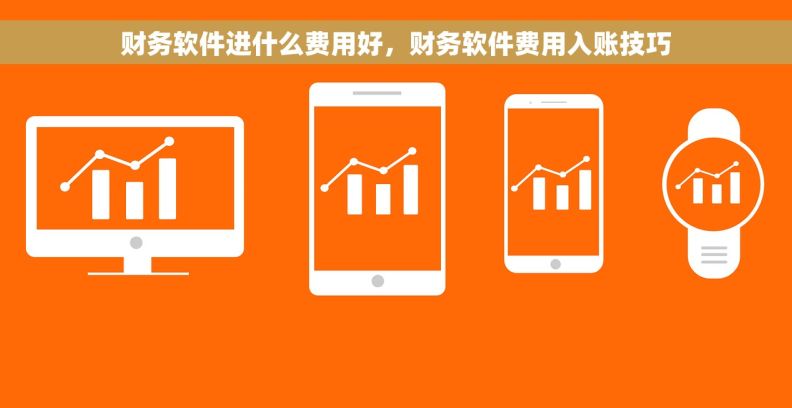 财务软件进什么费用好，财务软件费用入账技巧