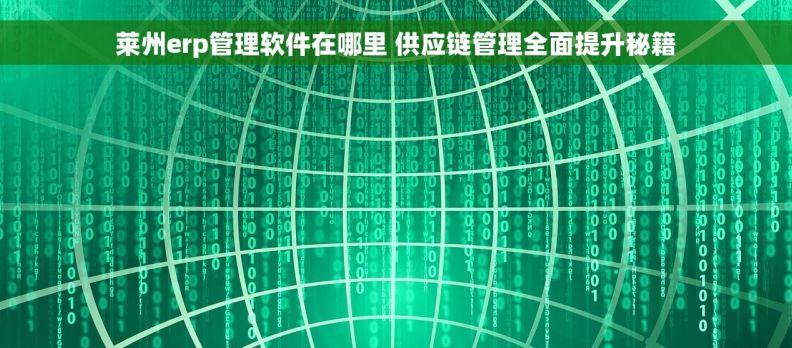 莱州erp管理软件在哪里 供应链管理全面提升秘籍