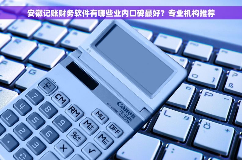 安徽记账财务软件有哪些业内口碑最好？专业机构推荐