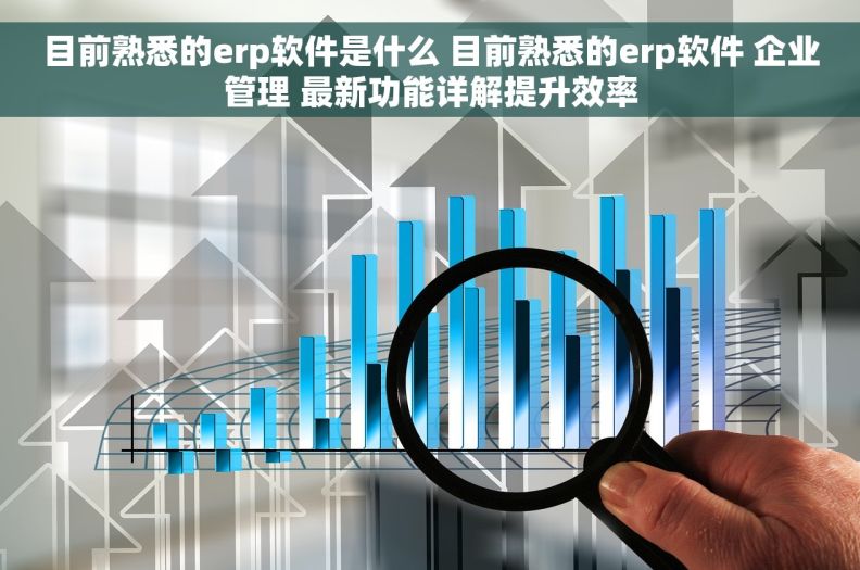 目前熟悉的erp软件是什么 目前熟悉的erp软件 企业管理 最新功能详解提升效率 目前熟悉的erp软件是什么 目前熟悉的erp软件 企业管理 最新功能详解提升效率