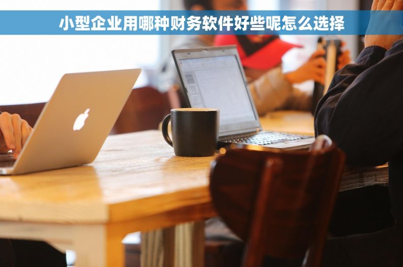 小型企业用哪种财务软件好些呢怎么选择