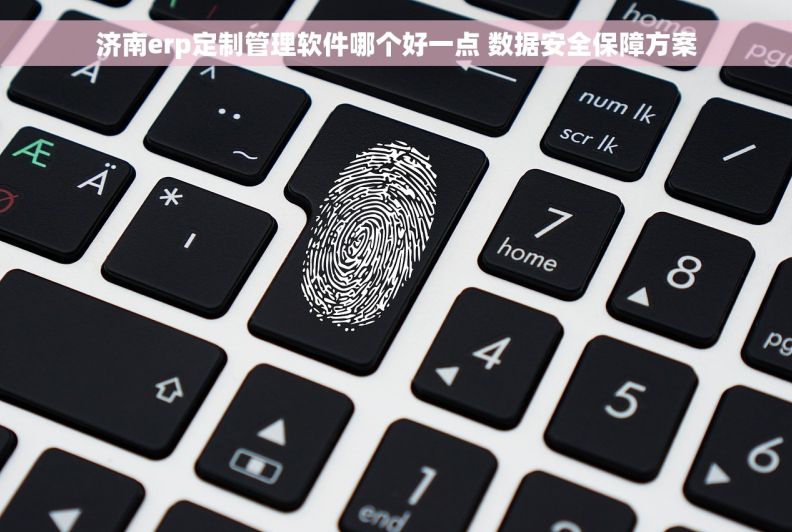济南erp定制管理软件哪个好一点 数据安全保障方案 济南erp定制管理软件哪个好一点 数据安全保障方案