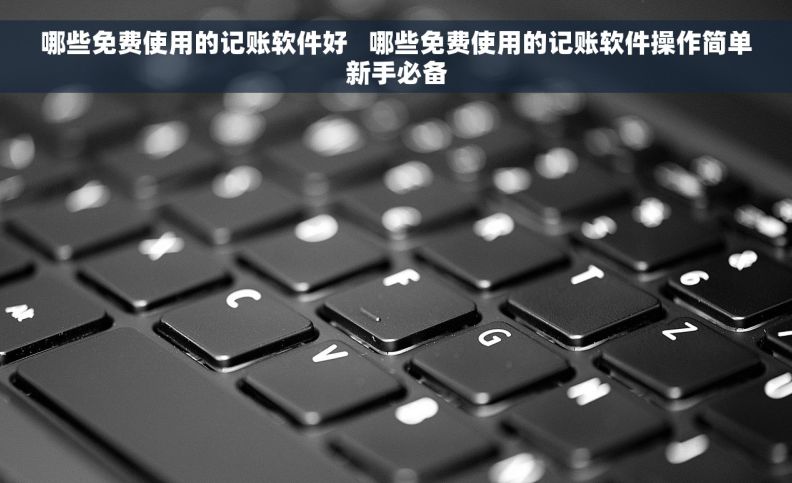 哪些免费使用的记账软件好   哪些免费使用的记账软件操作简单新手必备