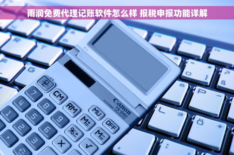 雨润免费代理记账软件怎么样 报税申报功能详解