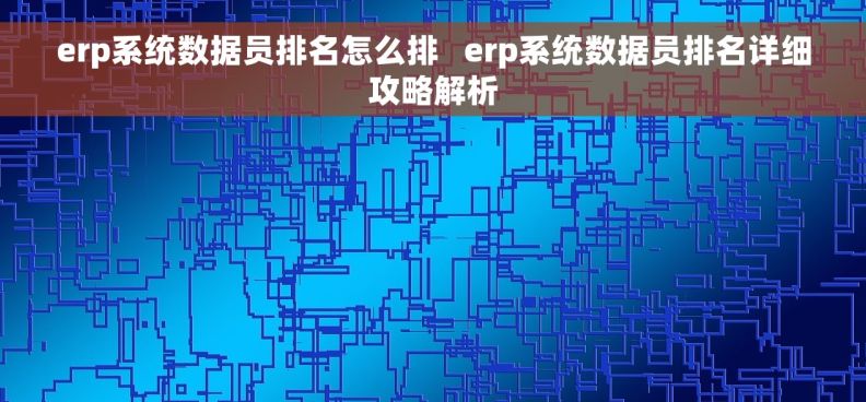 erp系统数据员排名怎么排   erp系统数据员排名详细攻略解析