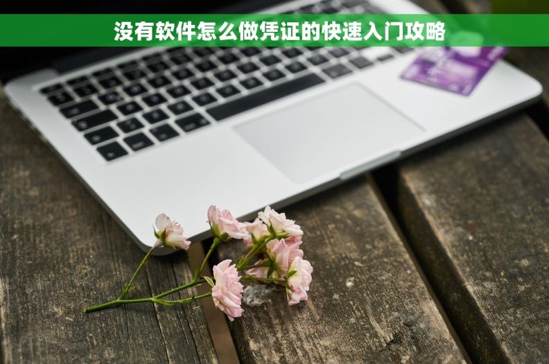   没有软件怎么做凭证的快速入门攻略