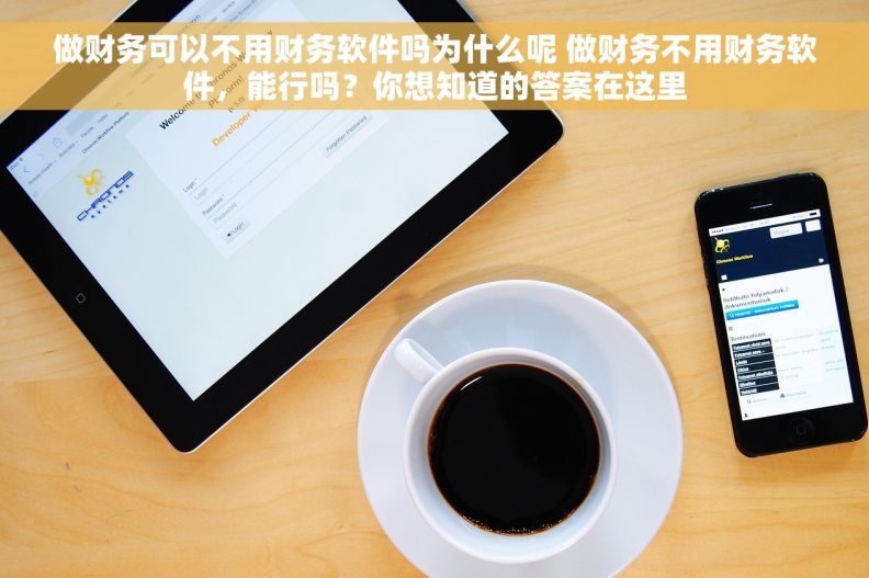 做财务可以不用财务软件吗为什么呢 做财务不用财务软件，能行吗？你想知道的答案在这里