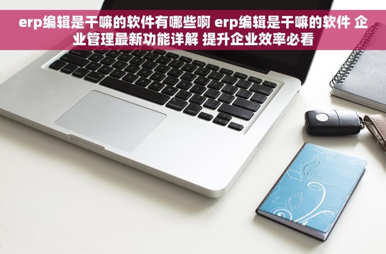 erp编辑是干嘛的软件有哪些啊 erp编辑是干嘛的软件 企业管理最新功能详解 提升企业效率必看 erp编辑是干嘛的软件有哪些啊 erp编辑是干嘛的软件 企业管理最新功能详解 提升企业效率必看