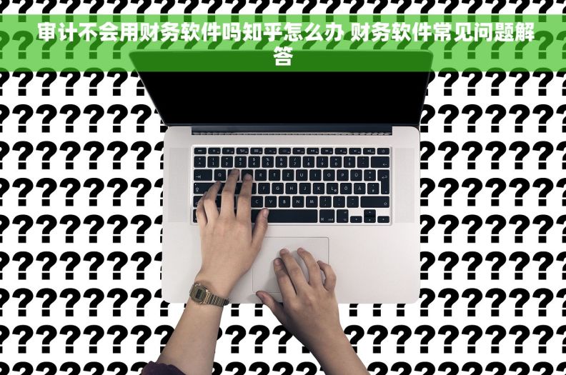  审计不会用财务软件吗知乎怎么办 财务软件常见问题解答