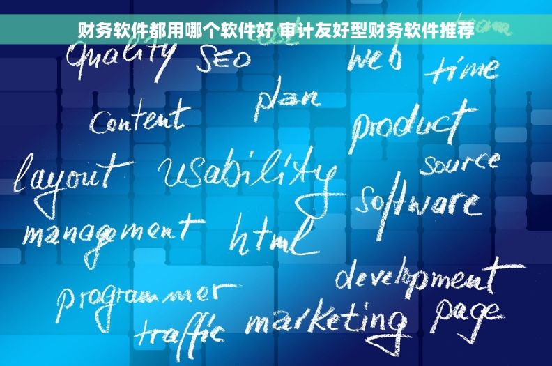 财务软件都用哪个软件好 审计友好型财务软件推荐