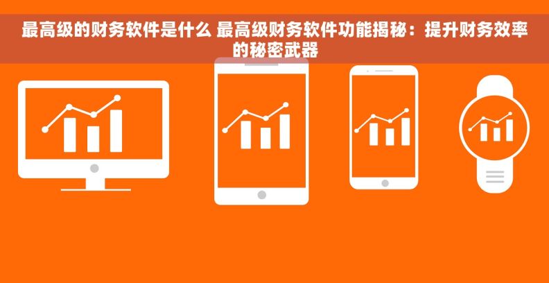 最高级的财务软件是什么 最高级财务软件功能揭秘：提升财务效率的秘密武器