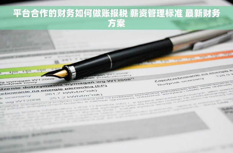 平台合作的财务如何做账报税 薪资管理标准 最新财务方案 平台合作的财务如何做账报税 薪资管理标准 最新财务方案