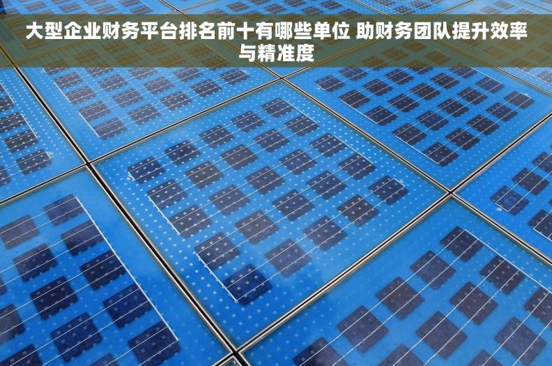 大型企业财务平台排名前十有哪些单位 助财务团队提升效率与精准度 大型企业财务平台排名前十有哪些单位 助财务团队提升效率与精准度