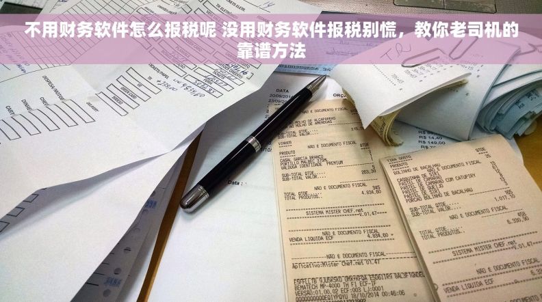 不用财务软件怎么报税呢 没用财务软件报税别慌，教你老司机的靠谱方法