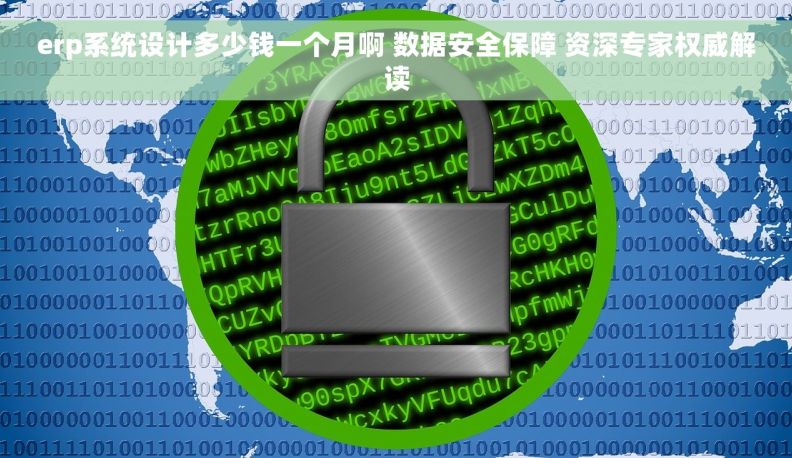 erp系统设计多少钱一个月啊 数据安全保障 资深专家权威解读 erp系统设计多少钱一个月啊 数据安全保障 资深专家权威解读