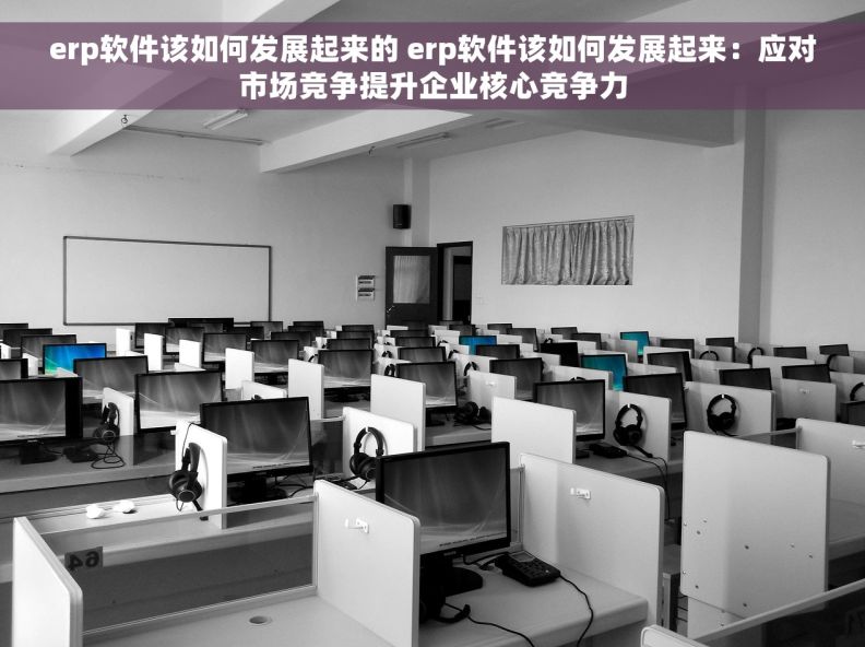 erp软件该如何发展起来的 erp软件该如何发展起来:应对市场竞争提升企业核心竞争力 erp软件该如何发展起来的 erp软件该如何发展起来:应对市场竞争提升企业核心竞争力