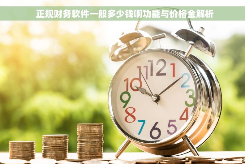   正规财务软件一般多少钱啊功能与价格全解析