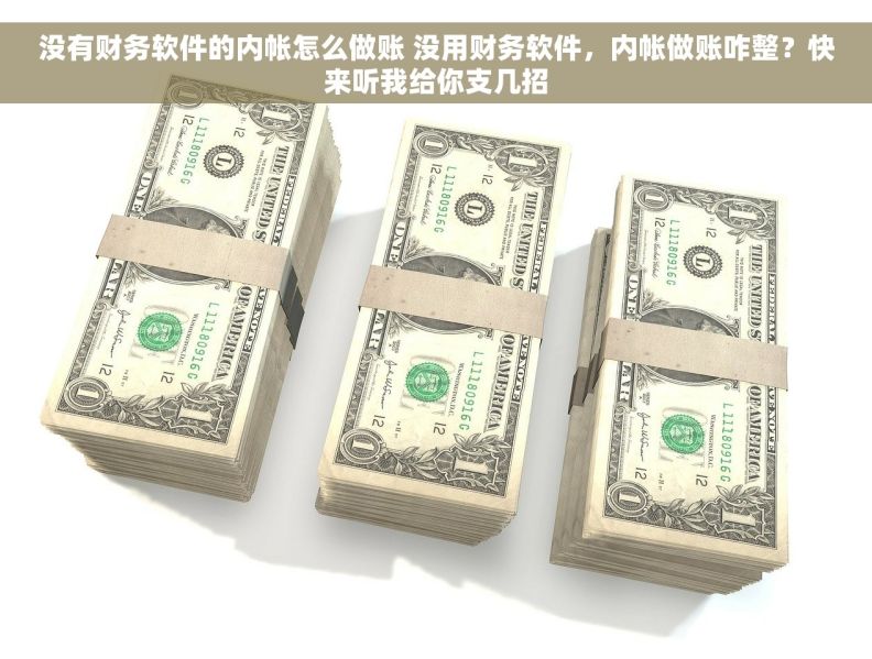 没有财务软件的内帐怎么做账 没用财务软件，内帐做账咋整？快来听我给你支几招
