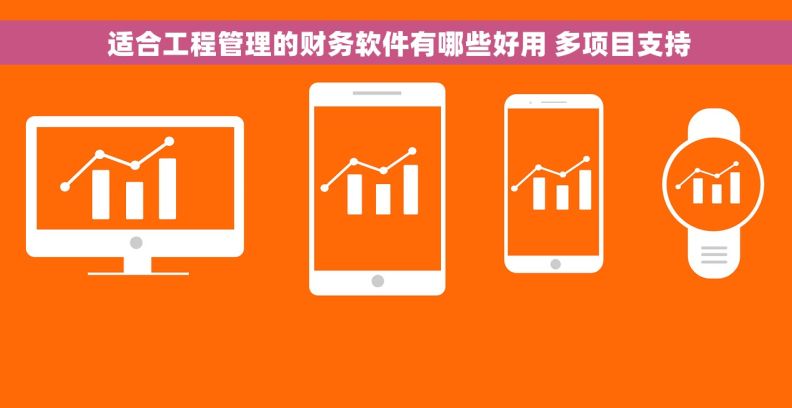  适合工程管理的财务软件有哪些好用 多项目支持